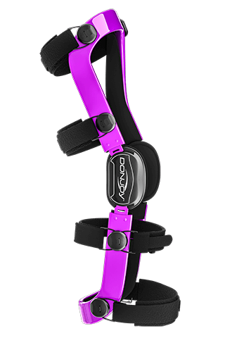 DonJoy Defiance Color Option - Grape Gloss