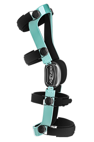 DonJoy Defiance Color Option - Seafoam Gloss