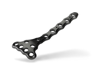 ANTERIOR TIBIA